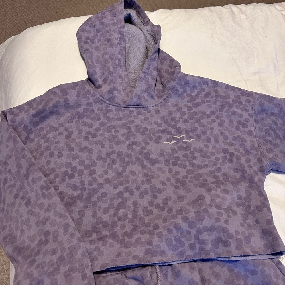 In excellent used condition Cropped hoodie with matching sweater pants